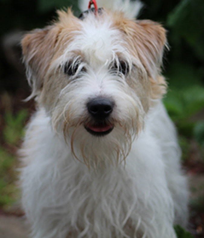 Dixie Auldtoby Caraway
